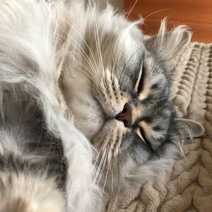 Meet your Posher, Giana